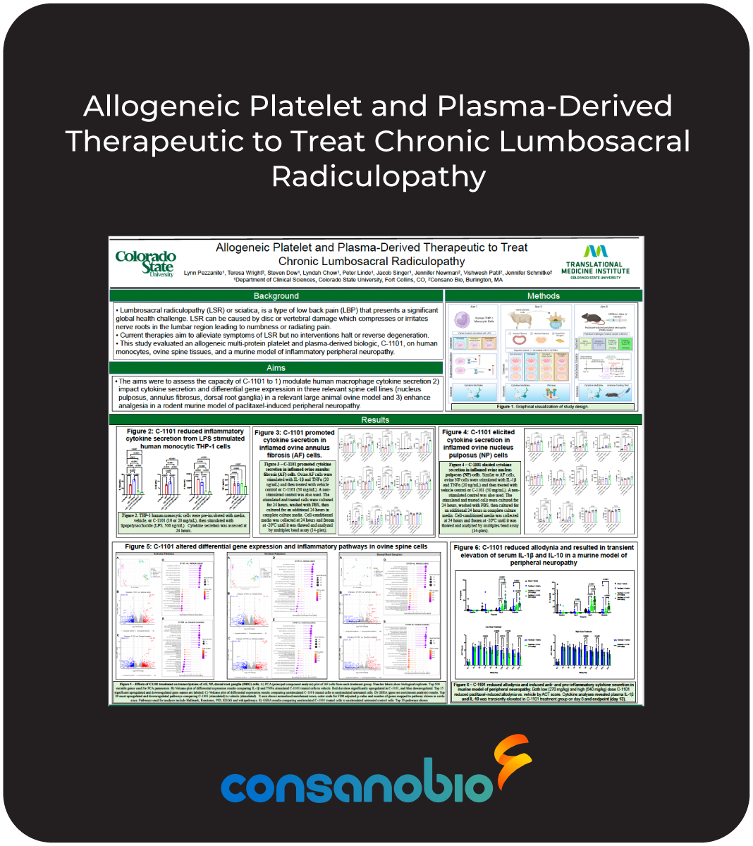 Allogeneic Platelet and Plasma-Derived Therapeutic