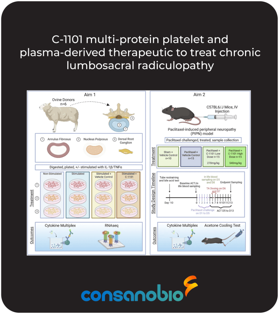 C-1101-publication